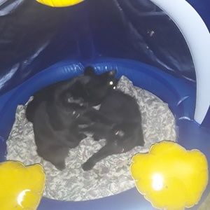 Meet your Posher, Casey